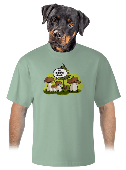 Strýko z Ameriky unisex tričko oversized Sage