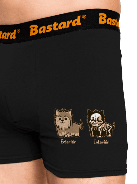 Teriér boxerky Black