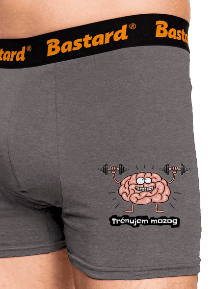 Trénujem mozog  boxerky Gray Melange