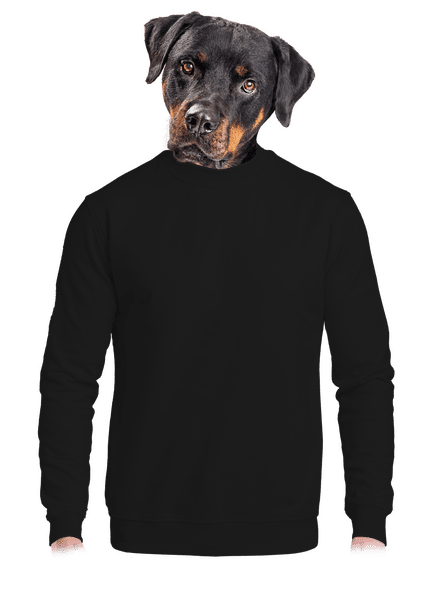 Bez potlače unisex mikina bez kapucne Black