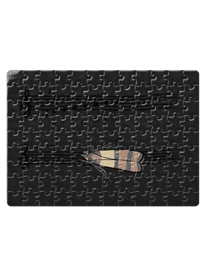 A - moll puzzle White