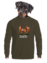 unisex mikina bez kapucne