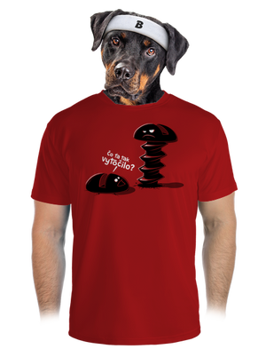 pánske športové tričko