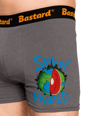 Sweet World boxerky Gray Melange