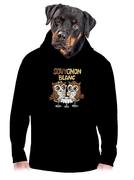 Sovygnon pánska mikina klokanka Black