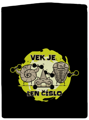 Vek je len číslo pánska mikina na zips Black