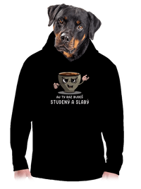 pánska mikina klokanka