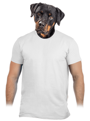 Bez potlače pánske tričko White