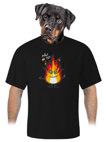 Páli mi to unisex tričko oversized Black