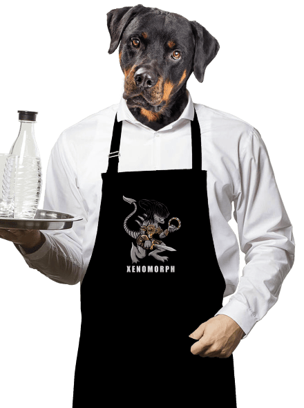 Xenomorph zástera Black