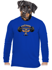 pánske dlhý rukáv