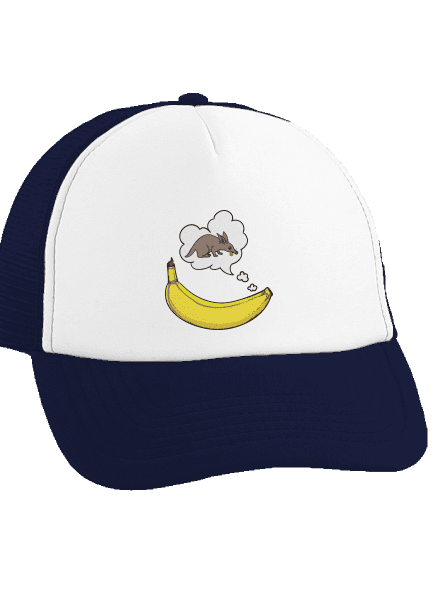 Samica hrabáča šiltovka truckerka French Navy cap