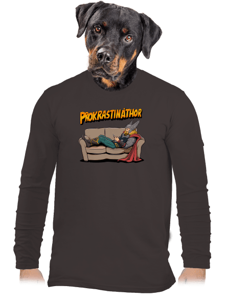 Prokrastináthor pánske dlhý rukáv Bear Brown