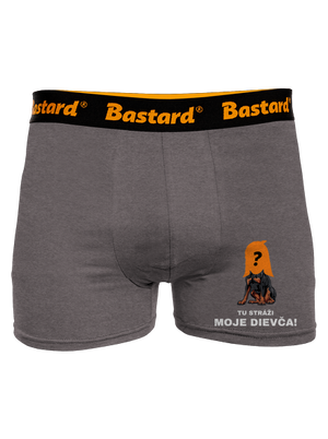 Tu strážim ja boxerky Gray Melange