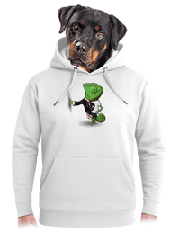 unisex mikina premium