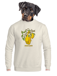 unisex mikina bez kapucne