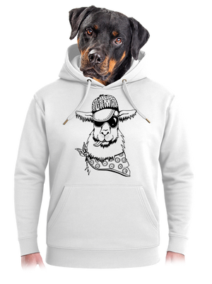 unisex mikina premium