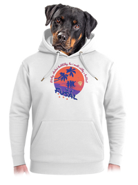 unisex mikina premium