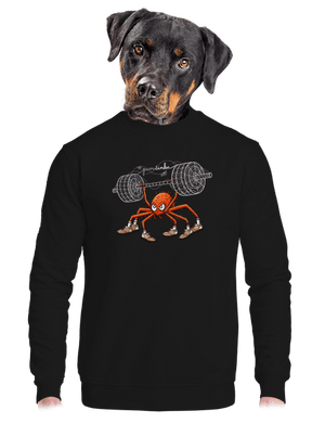 Pavučinka unisex mikina bez kapucne Black