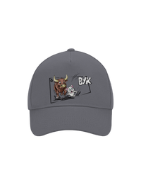 šiltovka baseballka