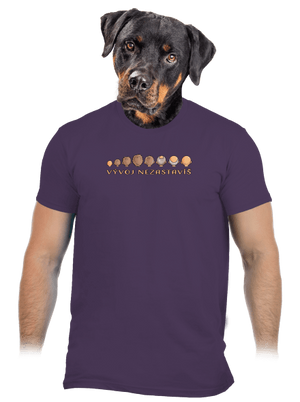 Vývoj nezastavíš pánske tričko Urban Purple