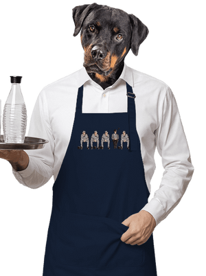 Nevinný zástera Navy