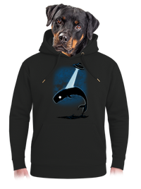 unisex mikina premium