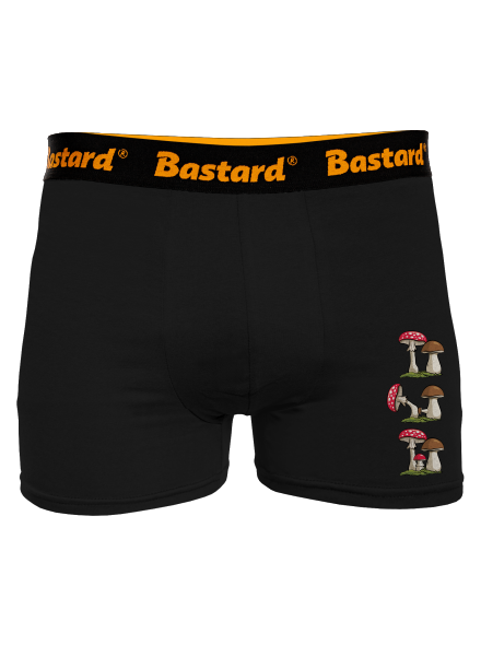 Z hubárskej kroniky boxerky Black