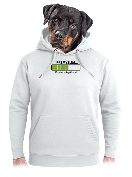 Premýšľam unisex mikina premium Snowwhite