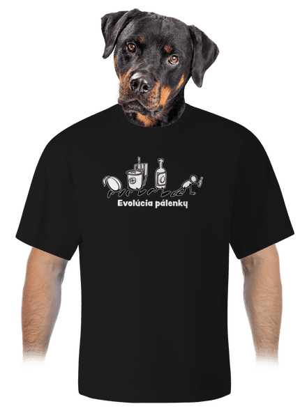 Evolúcia pálenky unisex tričko oversized Black