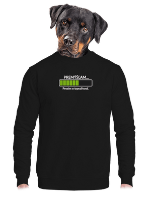 Premýšľam unisex mikina bez kapucne Black