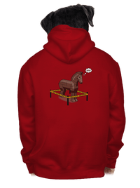 pánska mikina na zips