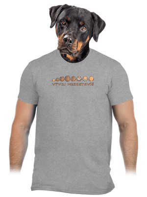 Vývoj nezastavíš pánske tričko Sport Grey