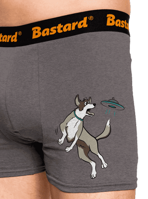 Lietajúci tanier boxerky Gray Melange