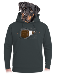 unisex mikina premium