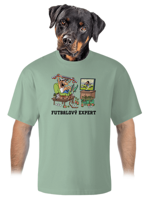 Futbalový expert unisex tričko oversized Sage