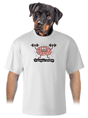 unisex tričko oversized