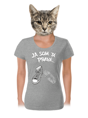 Hľadám tú pravú dámske tričko Dark Gray Melange