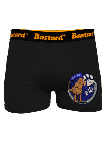 Psí horoskop: Vodnár boxerky Black