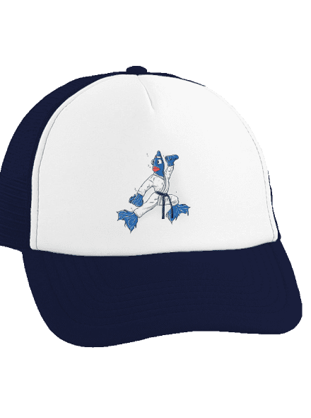 Bojovníčka šiltovka truckerka French Navy cap