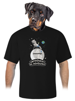 Introvert na dovolenke unisex tričko oversized Black