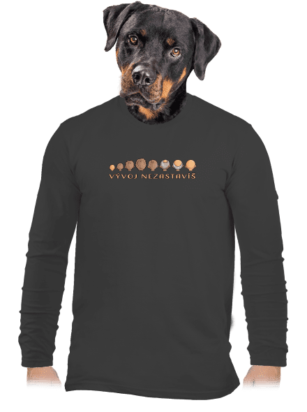 Vývoj nezastavíš pánske dlhý rukáv Dark Grey
