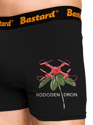 Rododendron boxerky Black