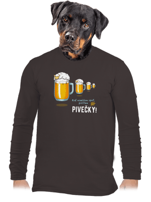 Pivečka pánske dlhý rukáv Bear Brown