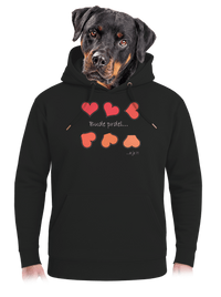 unisex mikina premium