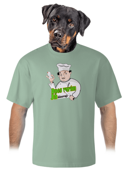 Dnes varím ja unisex tričko oversized Sage