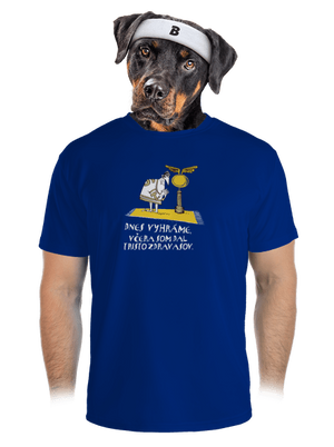 Dnes vyhráme pánske športové tričko Royal Blue Mal