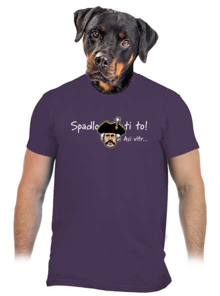 Spadlo ti to pánske tričko Urban Purple