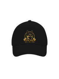 šiltovka baseballka