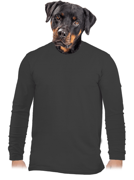Bez potlače pánske dlhý rukáv Dark Grey